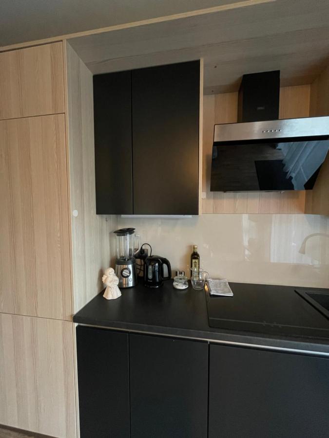 Rakowicka Apartment - City Center 크라쿠프 외부 사진